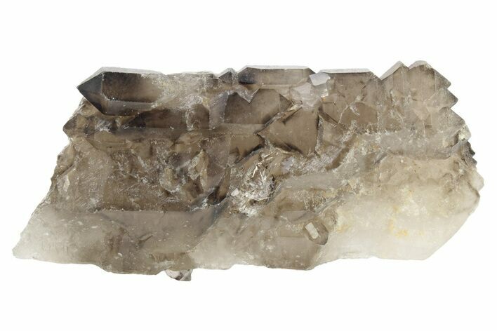 Lustrous Smoky Elestial Quartz - Brazil #238125